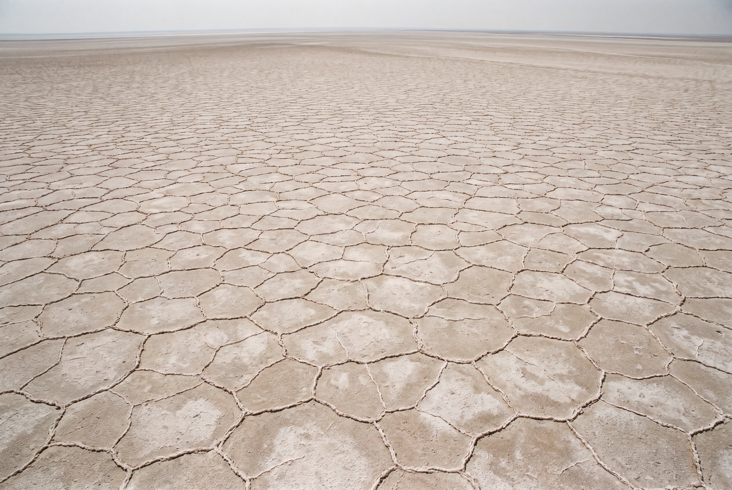 Aerial view of the Makgadikgadi salt pan cracked into a vast tessellation of pale polygons.